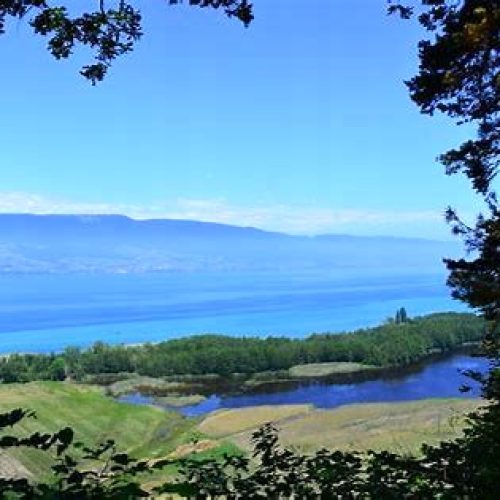 Lake Neuchatel